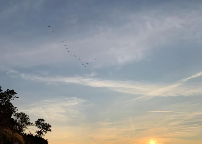 Dom Nad Morzem W Pleśnej *